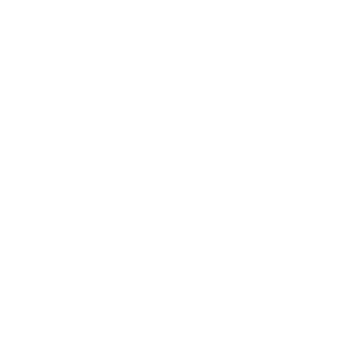 home-icon